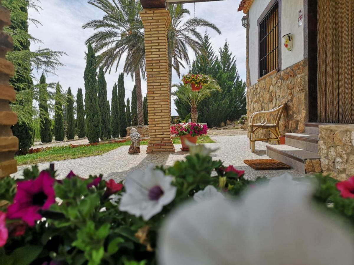 Casa Rural Las Palmeras Tobarra 외부 사진